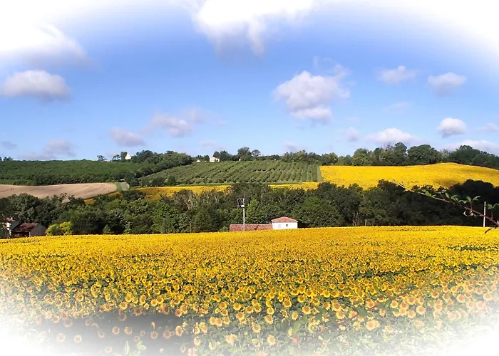 Bed & Breakfast D'hotes Lencouet